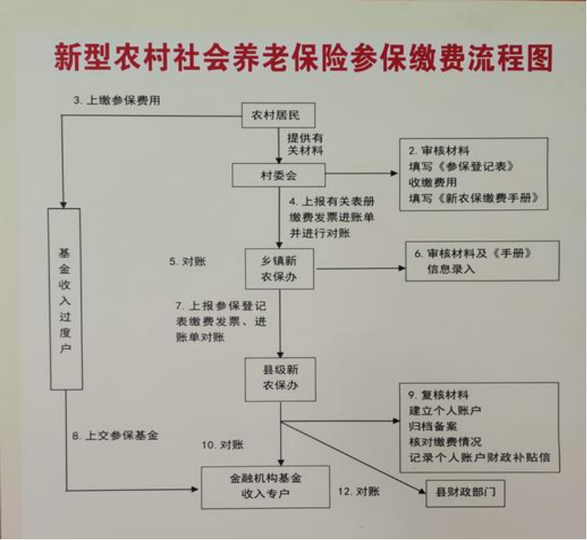 农村医保和社保有什么区别(农村医保跟社保的区别)